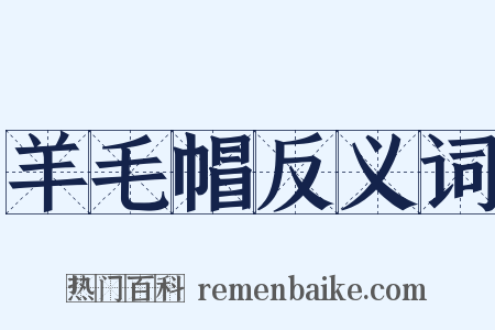 羊毛帽反义词是什么意思的图片